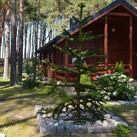 Domki Pod Wydmami 40M Od Plazy Dzwirzyno Exterior photo